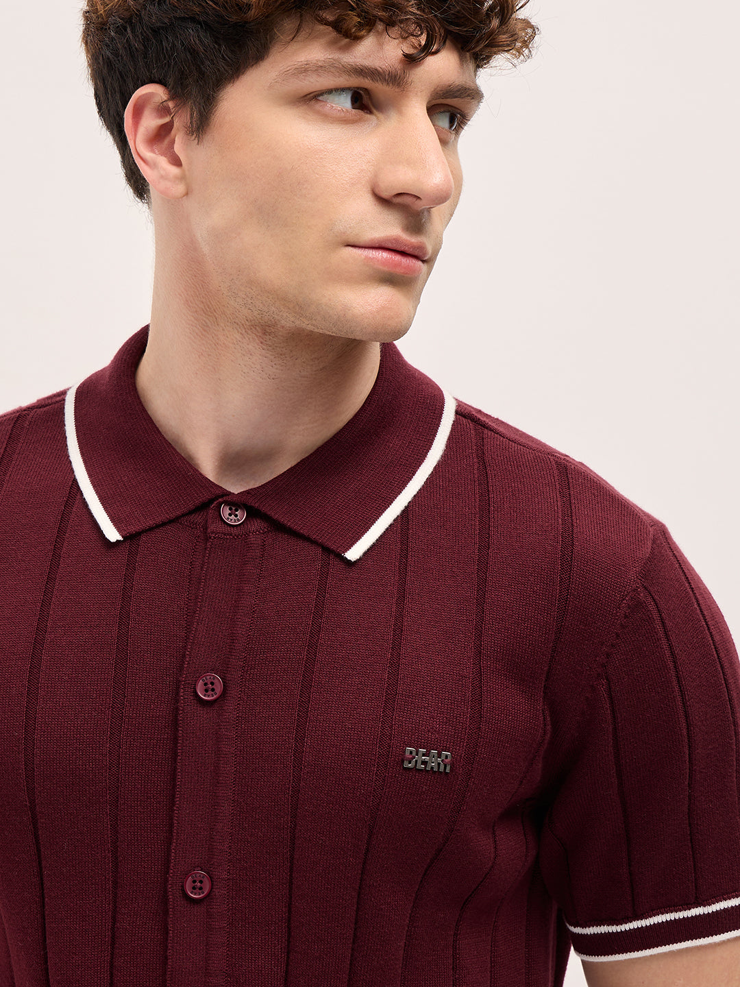 Men Maroon Textured Knit Shirt-Style Regular Fit Polo